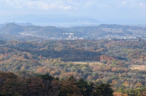 20241203天狗岩から明石海峡を.jpg