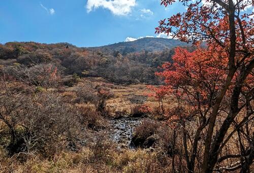 20231103古峰ヶ原湿原.jpg